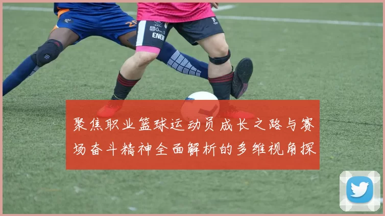 聚焦职业篮球运动员成长之路与赛场奋斗精神全面解析的多维视角探