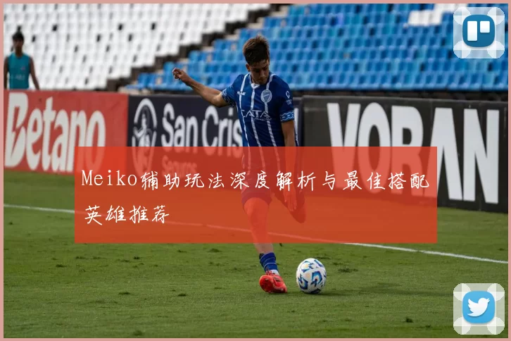Meiko辅助玩法深度解析与最佳搭配英雄推荐