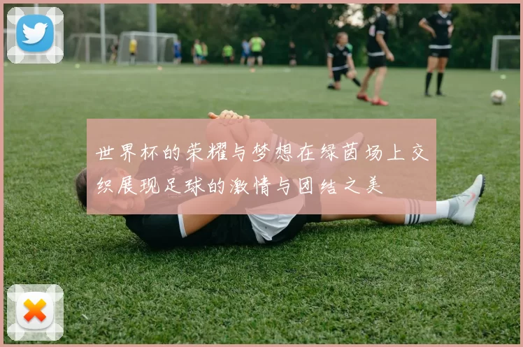 世界杯的荣耀与梦想在绿茵场上交织展现足球的激情与团结之美