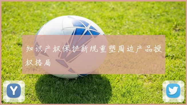 知识产权保护新规重塑周边产品授权格局