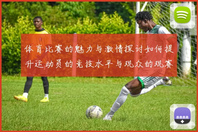 体育比赛的魅力与激情探讨如何提升运动员的竞技水平与观众的观赛体验