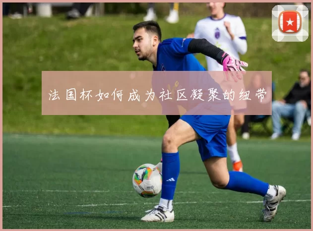 法国杯如何成为社区凝聚的纽带