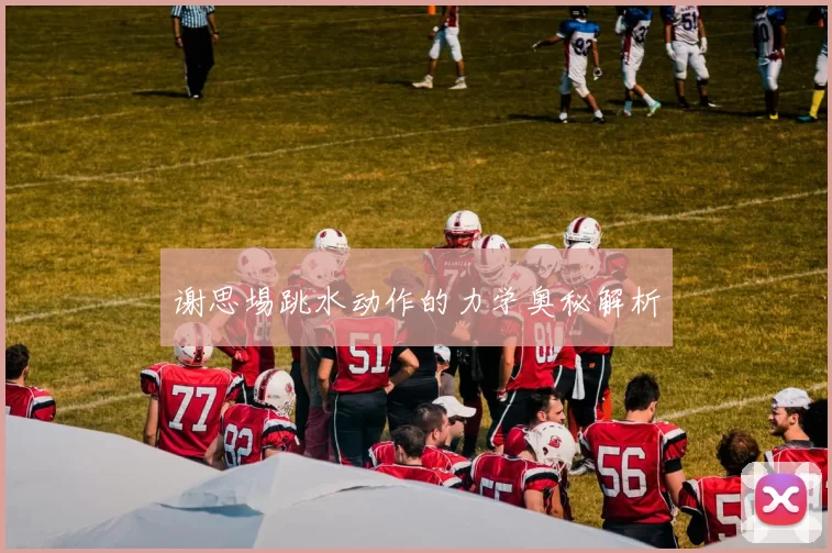谢思埸跳水动作的力学奥秘解析