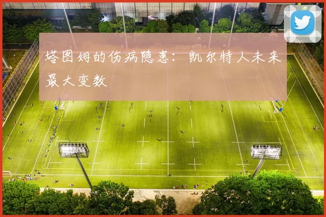 塔图姆的伤病隐患：凯尔特人未来最大变数